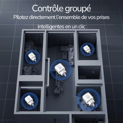 Prise intelligente WiFi ElectraFlex™